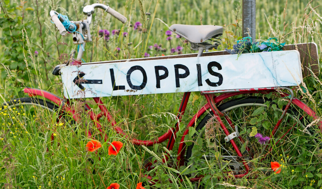 Lär dig att fynda på sommarloppis